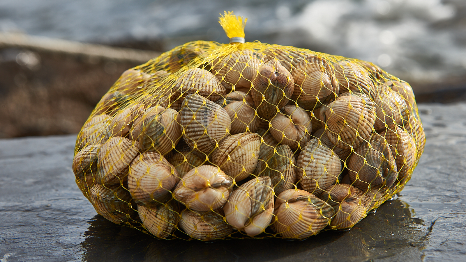 7EAD5CAA-9F79-47B9-8CD9-6D665BB8F646