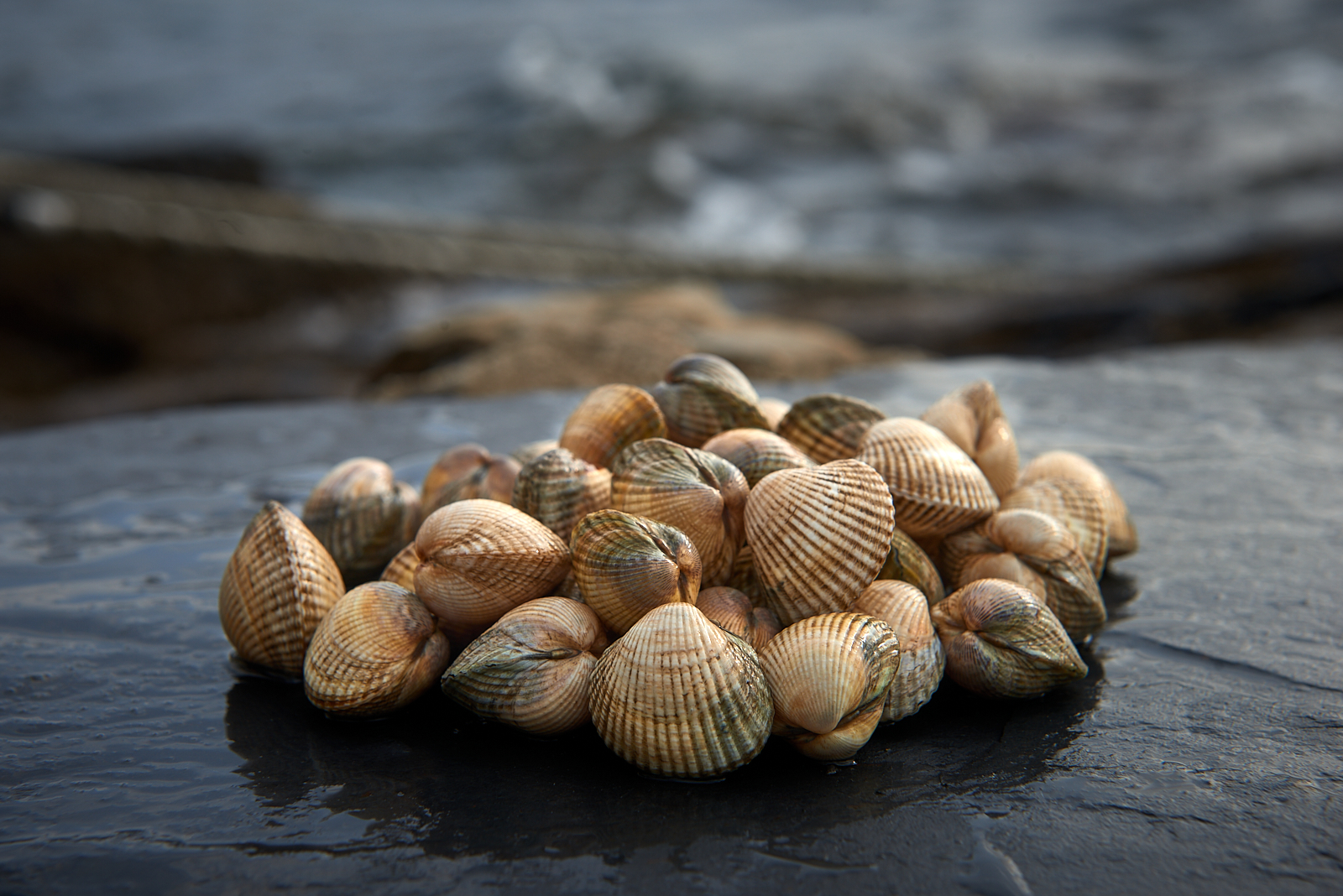 E50EC813-CCBB-46A7-8A8A-F6AEE6E8D900