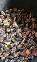 Foto de José Rubianes(1)-min